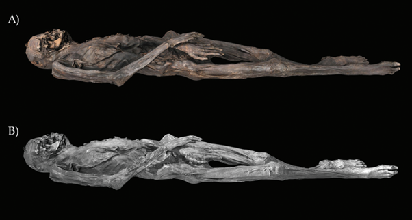 3D models of the mummy for Pazyryk tomb 5 in the visible (A) and infrared (B) 3D models of the mummy for Pazyryk tomb 5 in the visible (A) and infrared (B)