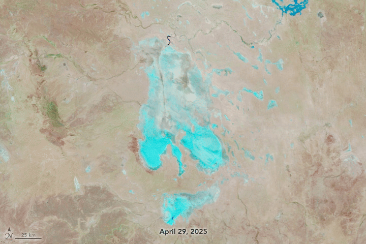 satellite footage of Kati Thanda-Lake Eyre filling with water from April 29 to June 12, 2025. satellite footage of Kati Thanda-Lake Eyre filling with water from April 29 to June 12, 2025.