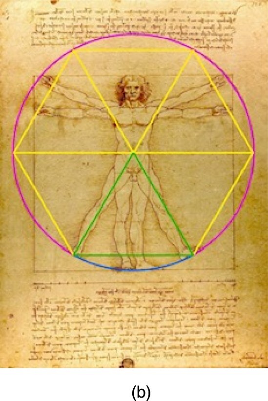 The Vitruvian man with a green equilateral triangle drawn over the legs, and that triangle replicated five more times in a yellow hexagon formation. A pink circle encases the whole figure; it follows da Vinci's original circle perfectly.