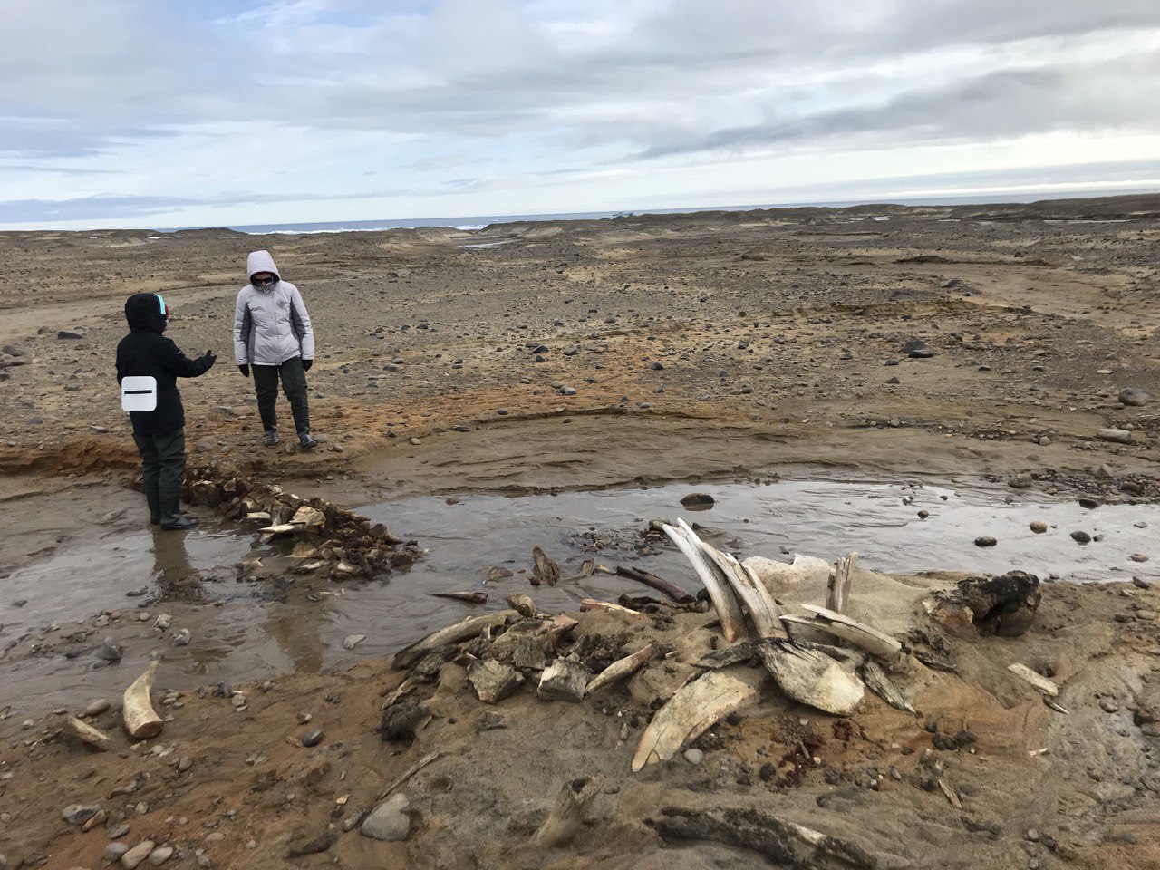 More researchers study the remains on Wilczek Island in the Franz Josef Land archipelago. More researchers study the remains on Wilczek Island in the Franz Josef Land archipelago.