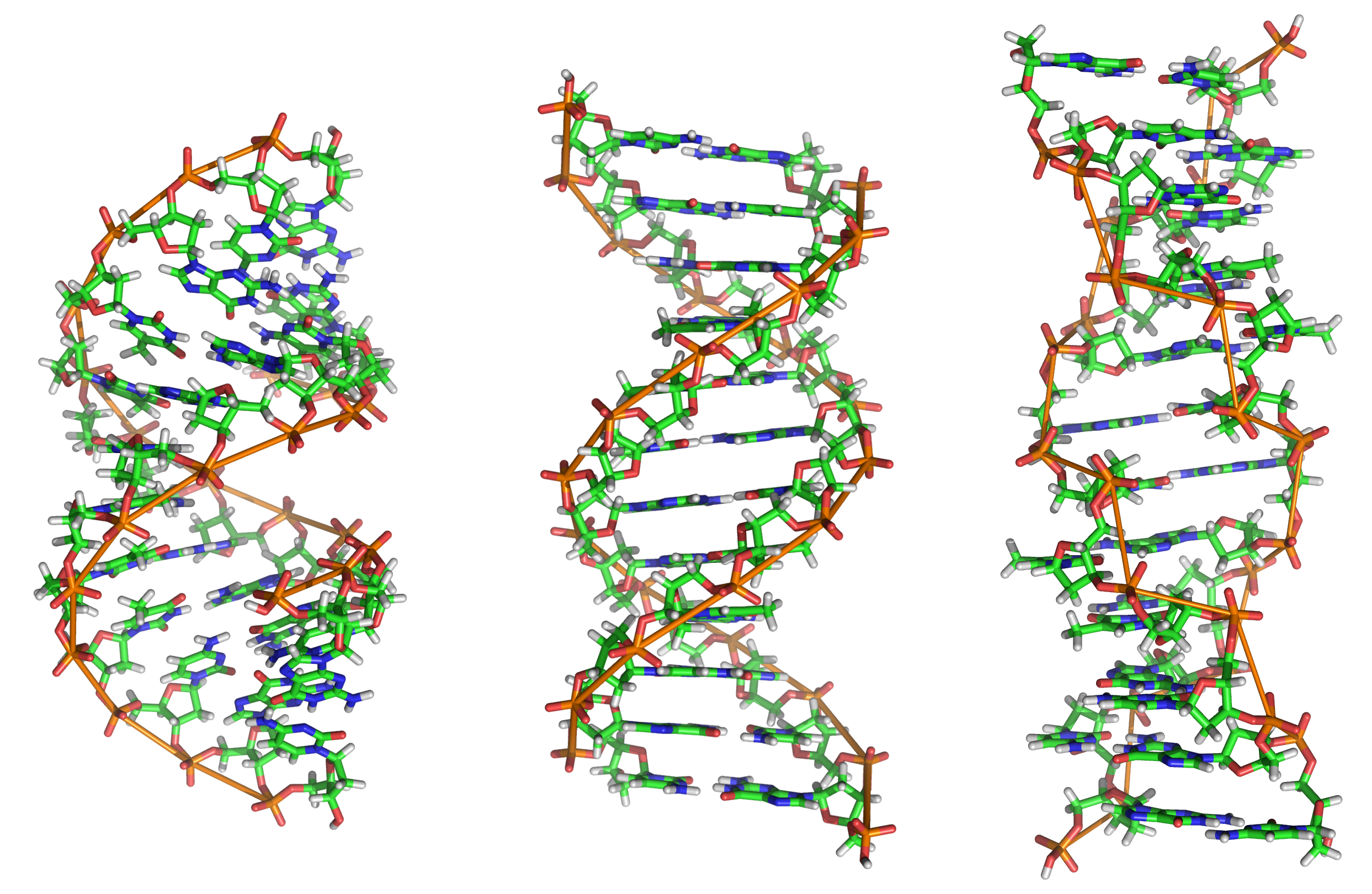 Computational diagram of DNA Computational diagram of DNA