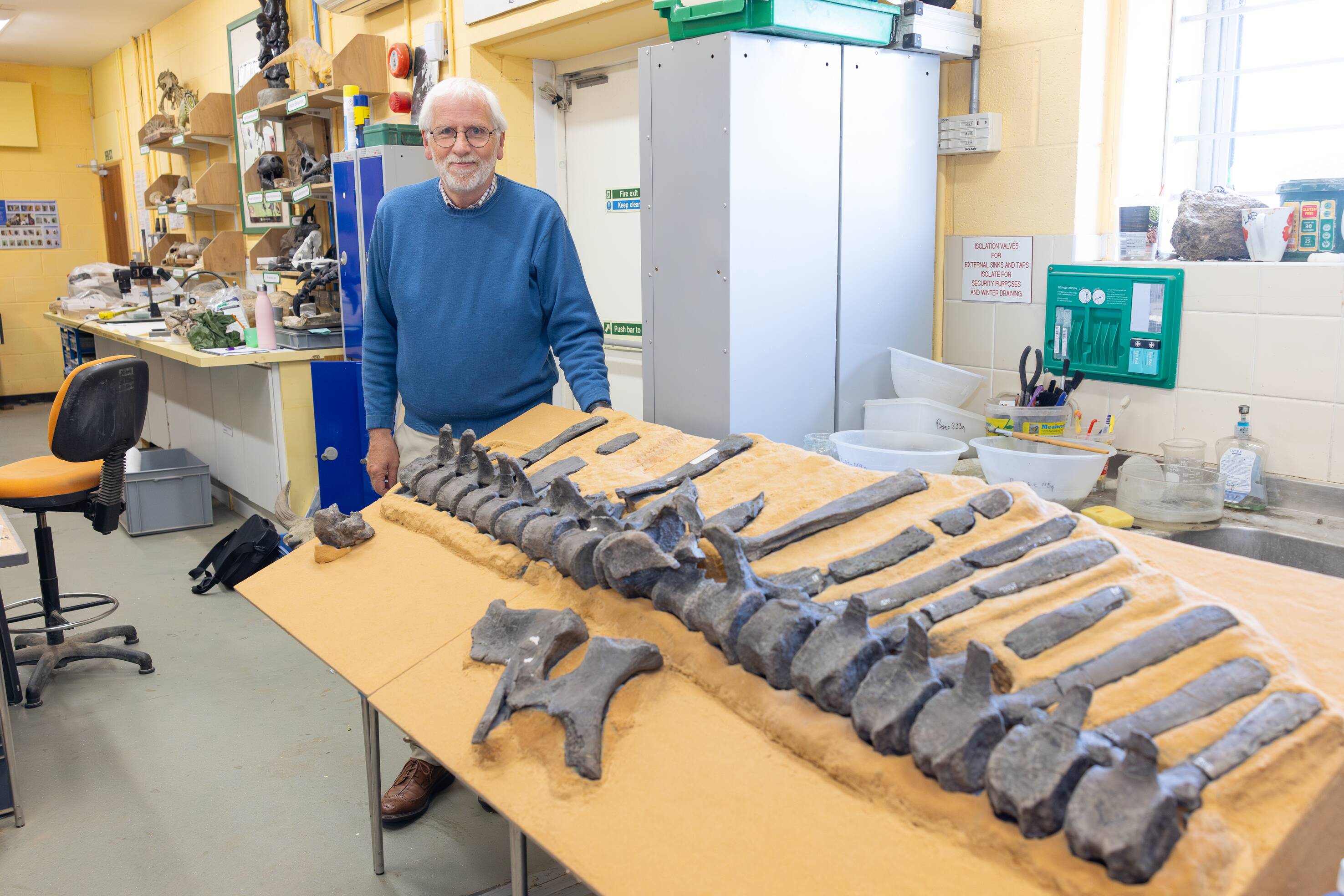 Dr Jeremy Lockwood standing next to the spinal column of the Istiorachis Macarthurae. 