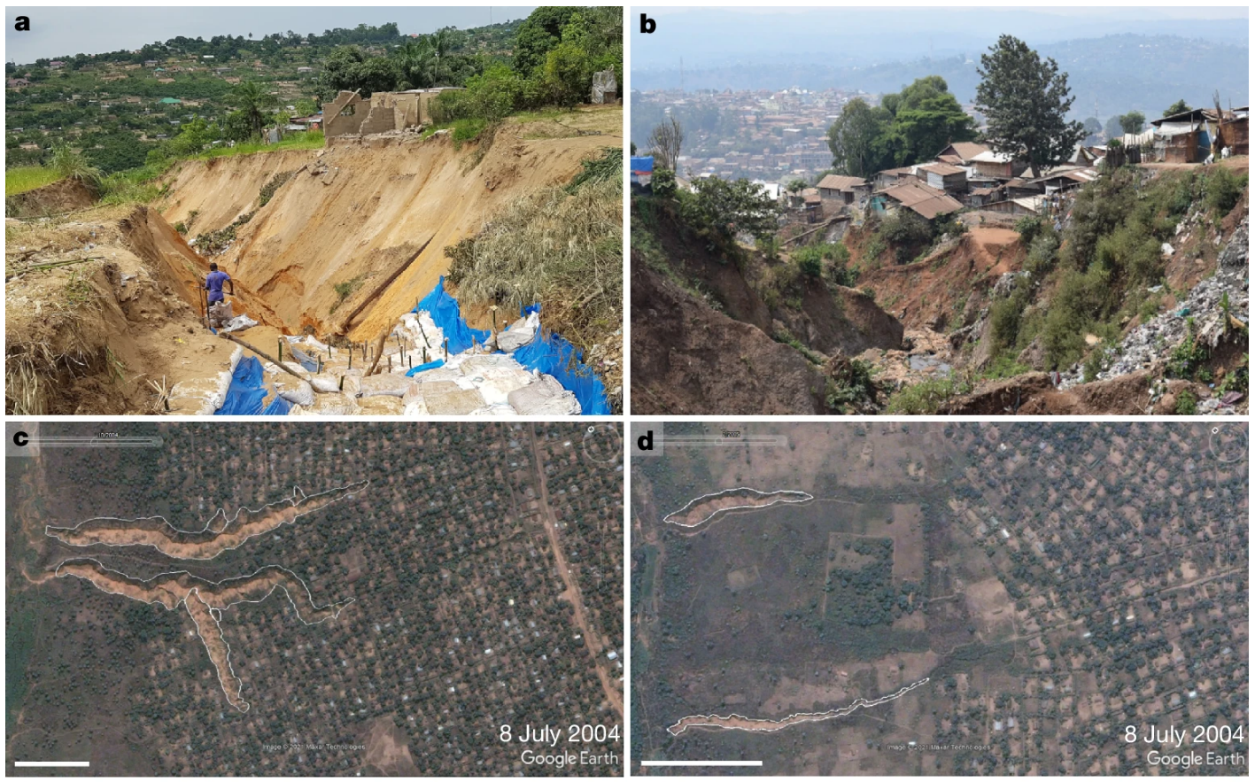 A: A gully in Kinshasa in November 2019. B: Another gully in Bukavu in July 2021. C & D: Google Earth imagery of urban gullies in Kikwit (8 July 2004). A: A gully in Kinshasa in November 2019. B: Another gully in Bukavu in July 2021. C & D: Google Earth imagery of urban gullies in Kikwit (8 July 2004).