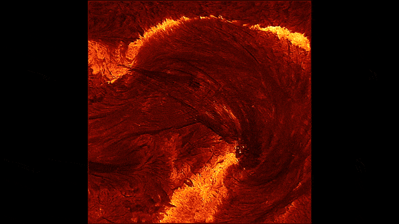 the main image in motion showing the dark filements stretching between the bright ribbons. the main image in motion showing the dark filements stretching between the bright ribbons.