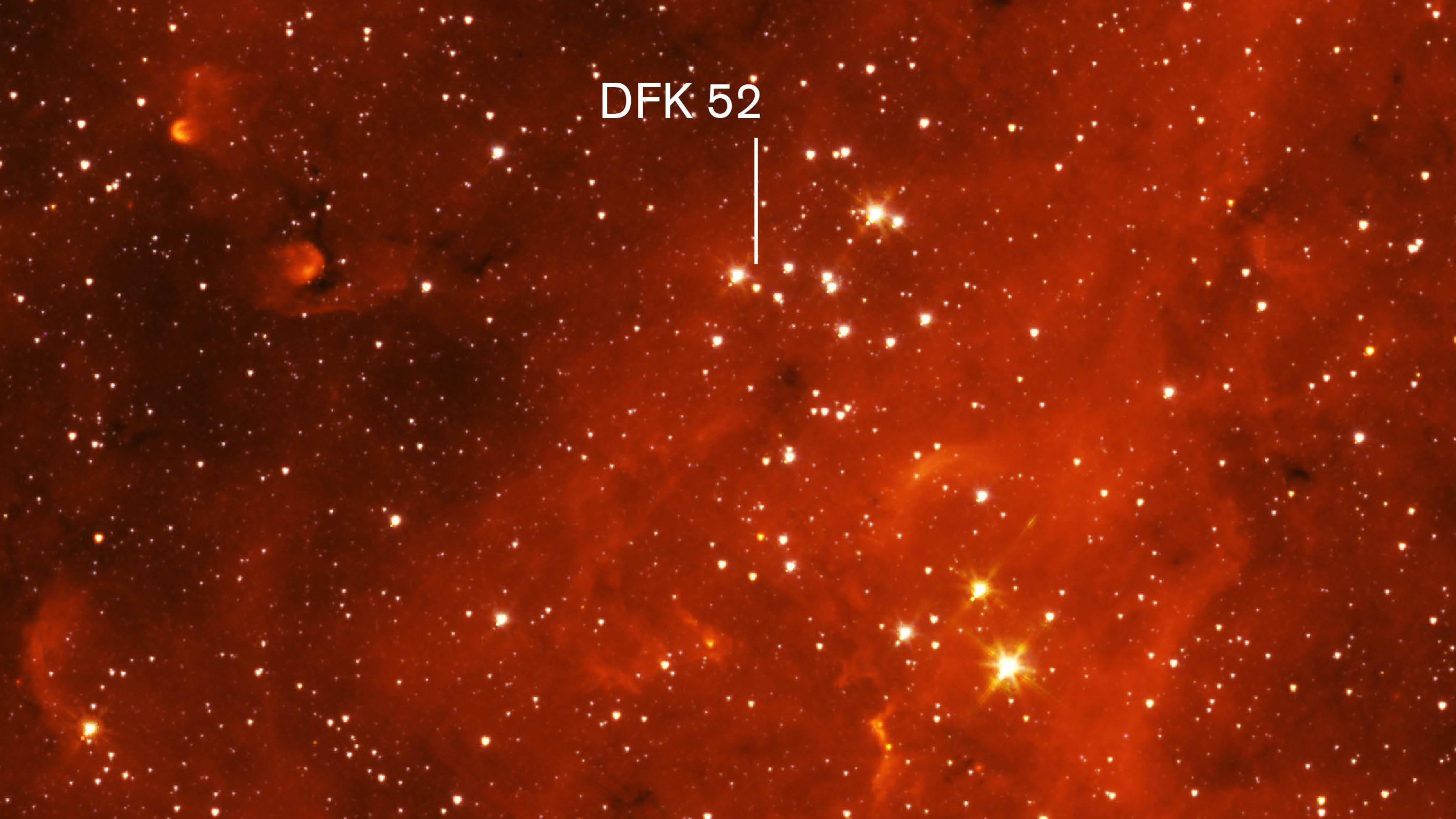The Stephenson 2 open cluster contains stars so bright that DFK 52 is comfortably outshone. The Stephenson 2 open cluster contains stars so bright that DFK 52 is comfortably outshone.