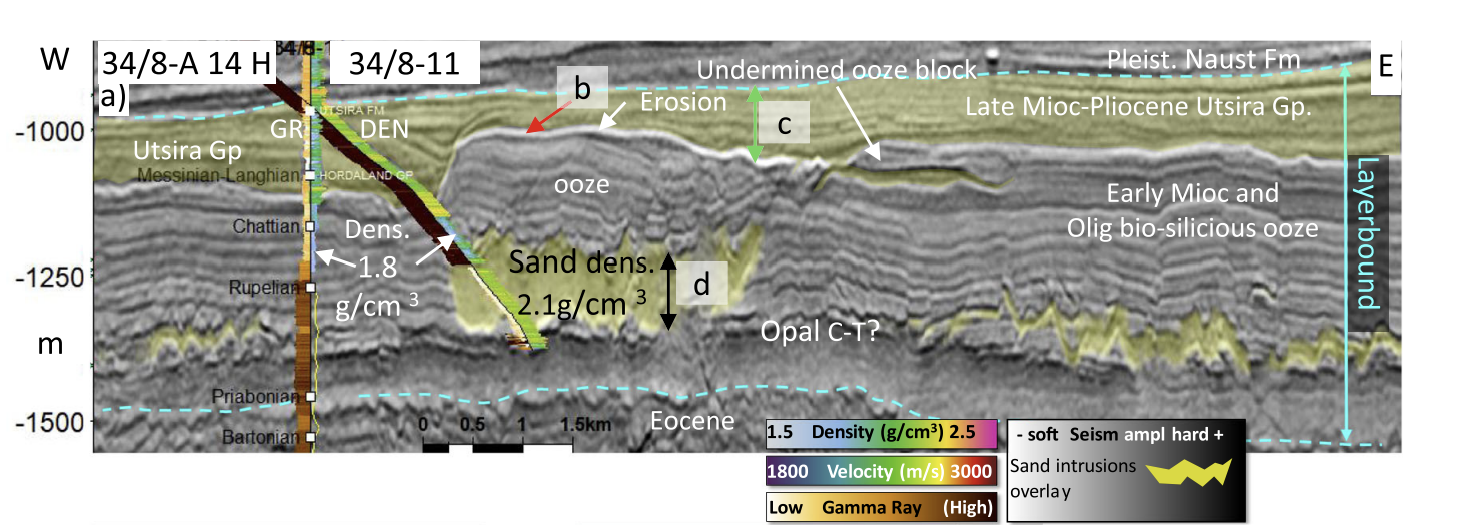 An intrusion of younger sand sunk intlo the bio-silicate ooze on Northern North Sea floor