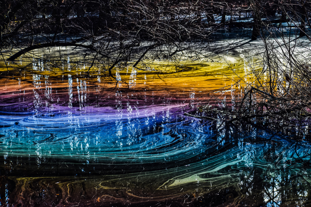 The rainbow effect also occurs in the bald cypress swamps of Alabama. The rainbow effect also occurs in the bald cypress swamps of Alabama.
