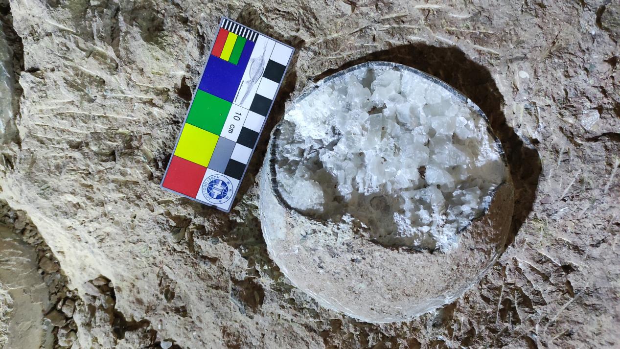 dinosaur egg showing large calcite crystals inside the shell