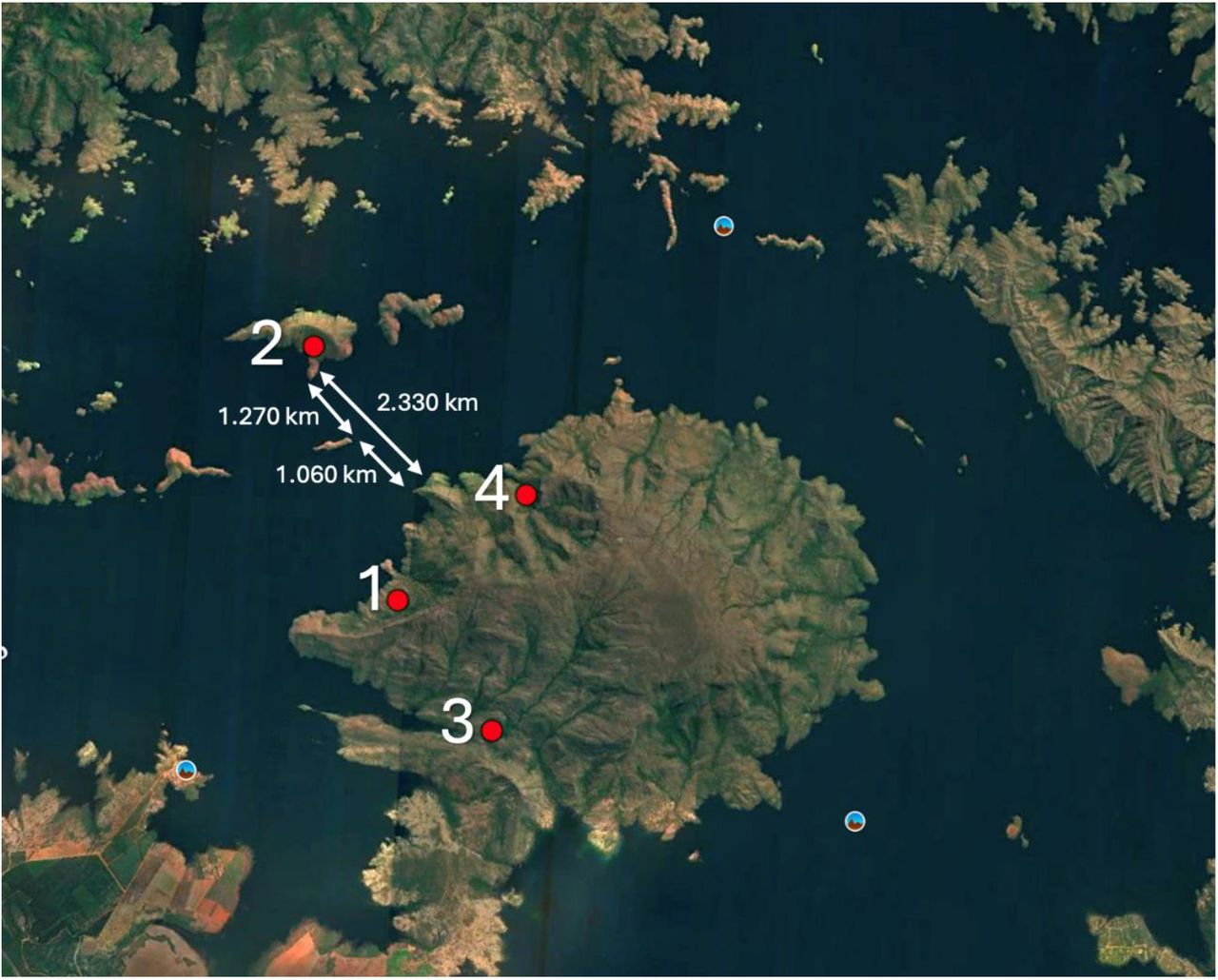 A map with arrows showing two different routes to the island, red numbed spots show camera trap locations.