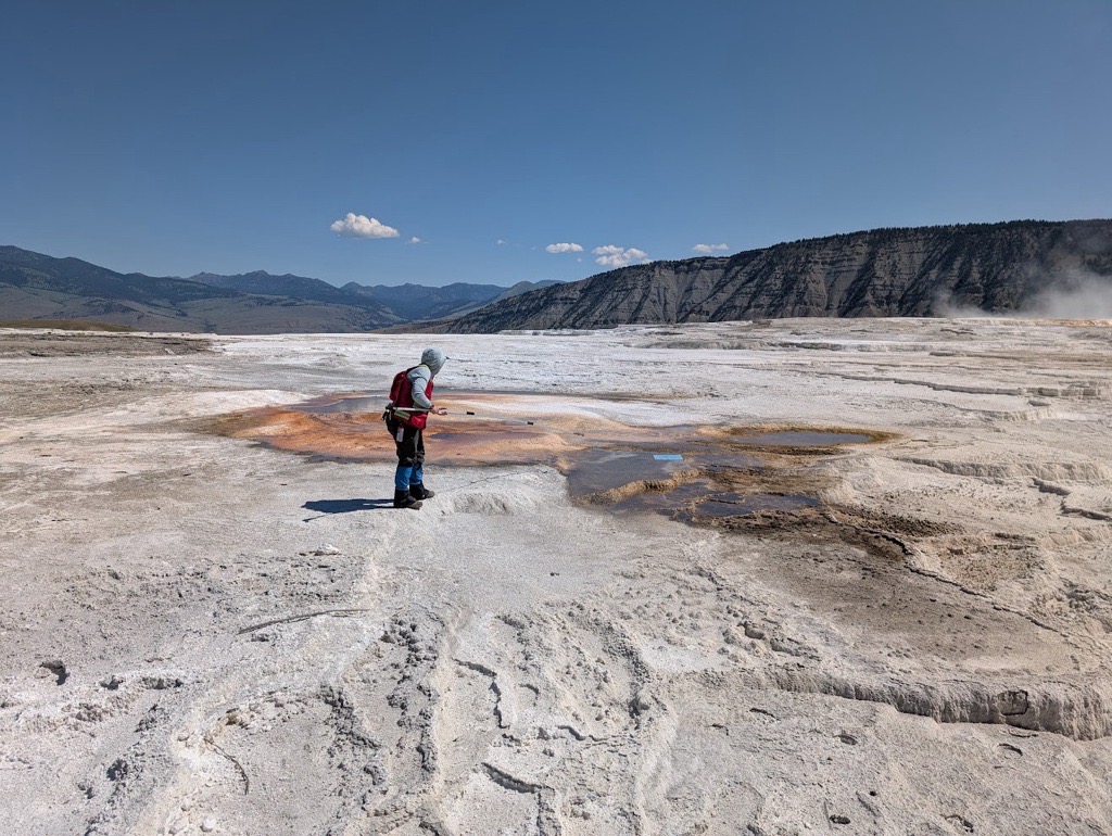 Extracting wind-blown litter from a thermal feature in Yellowstone National Park Extracting wind-blown litter from a thermal feature in Yellowstone National Park