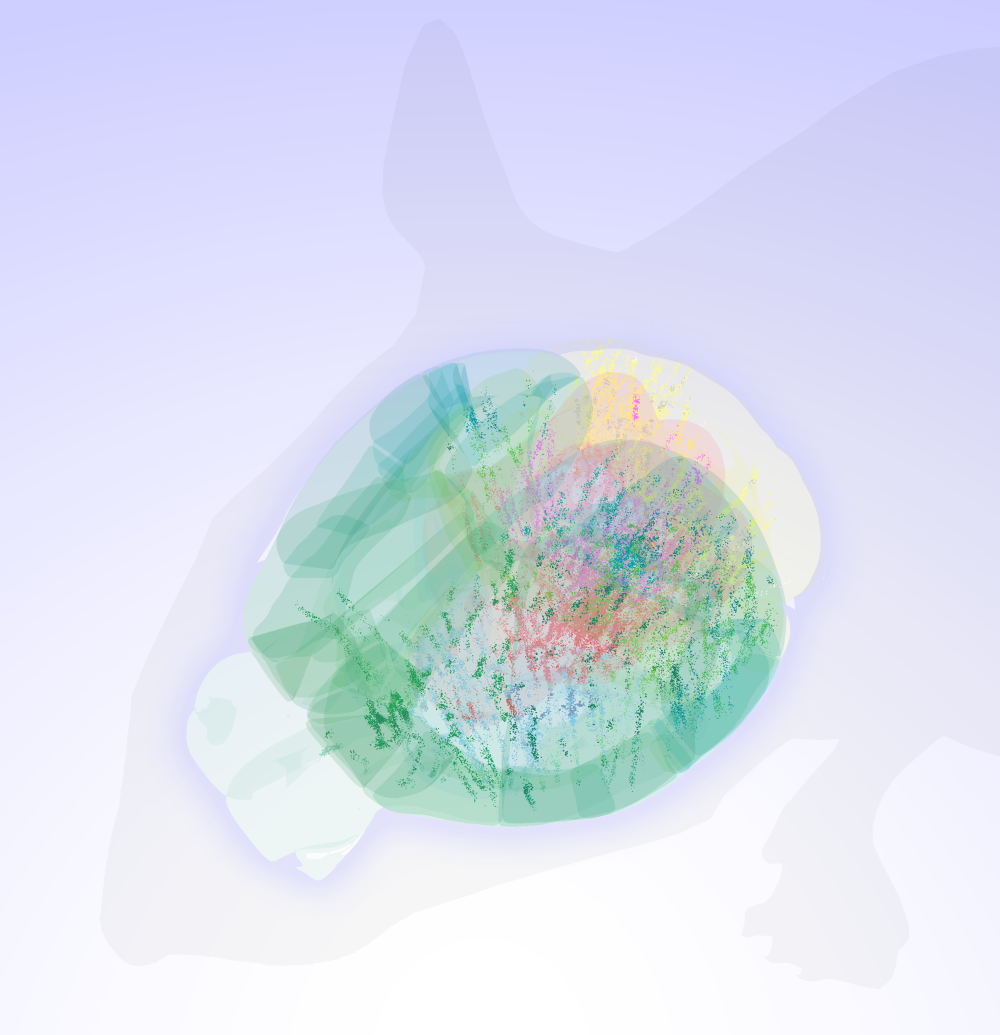 a mouse brain mapped showing activity in many regions a mouse brain mapped showing activity in many regions