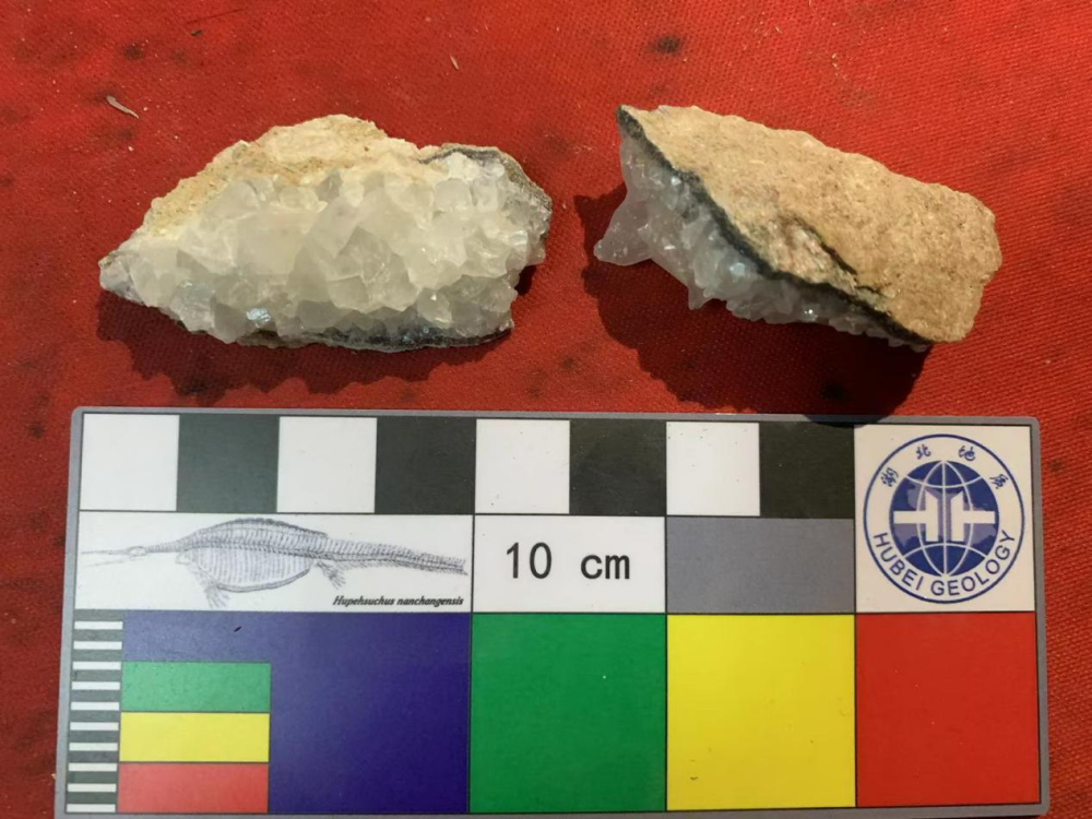 Dinosaur egg fossil samples used for chronological analysis.