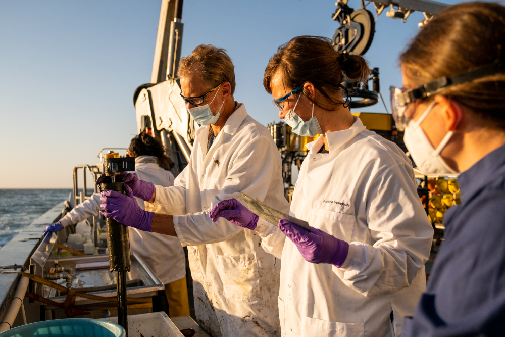 scientists test sediment samples from mysterious halos around barrels dumped of los angeles coast scientists test sediment samples from mysterious halos around barrels dumped of los angeles coast