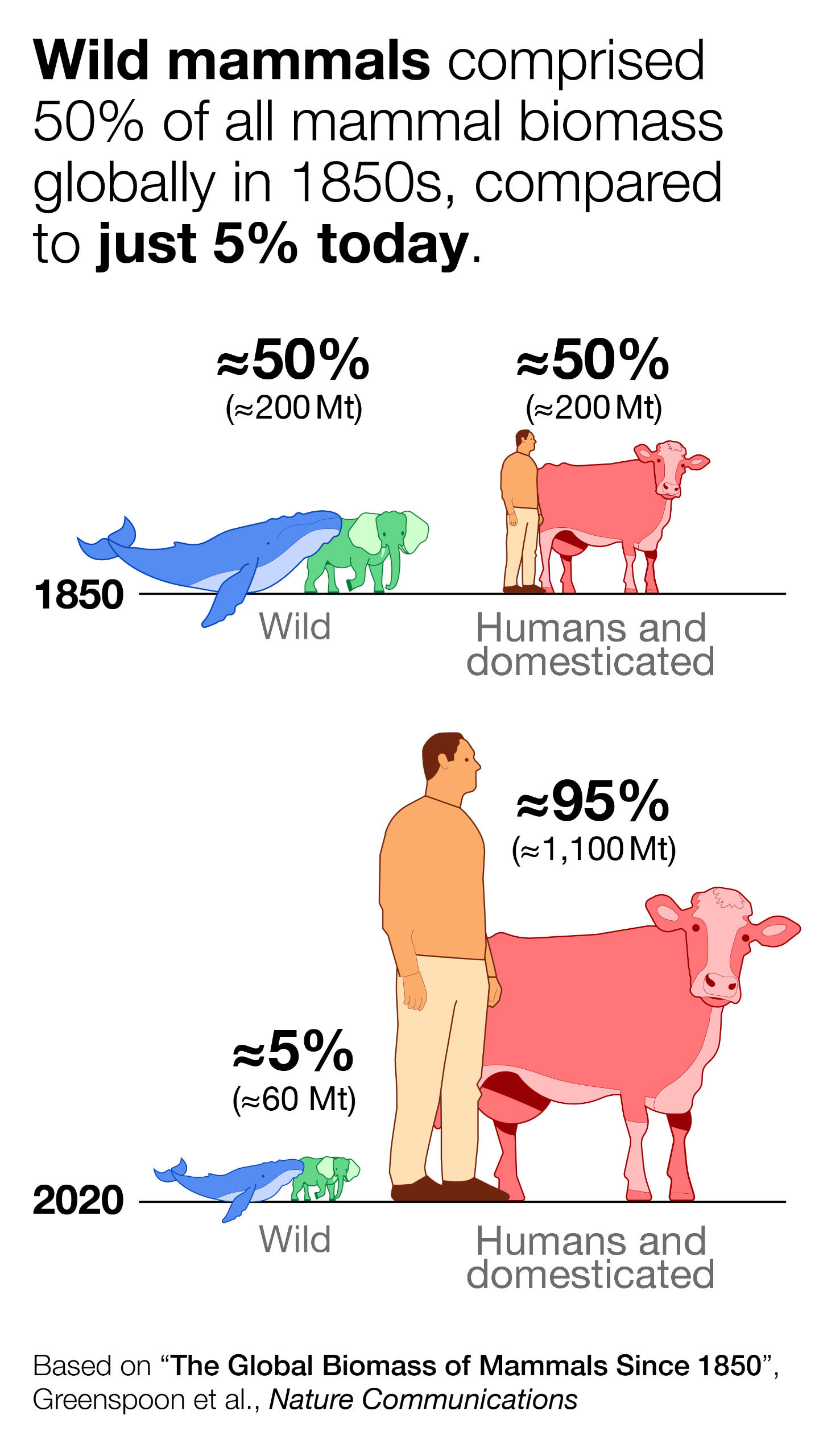 As the biomass of wild animals shrinks, that of humans and cattle grow. As the biomass of wild animals shrinks, that of humans and cattle grow.