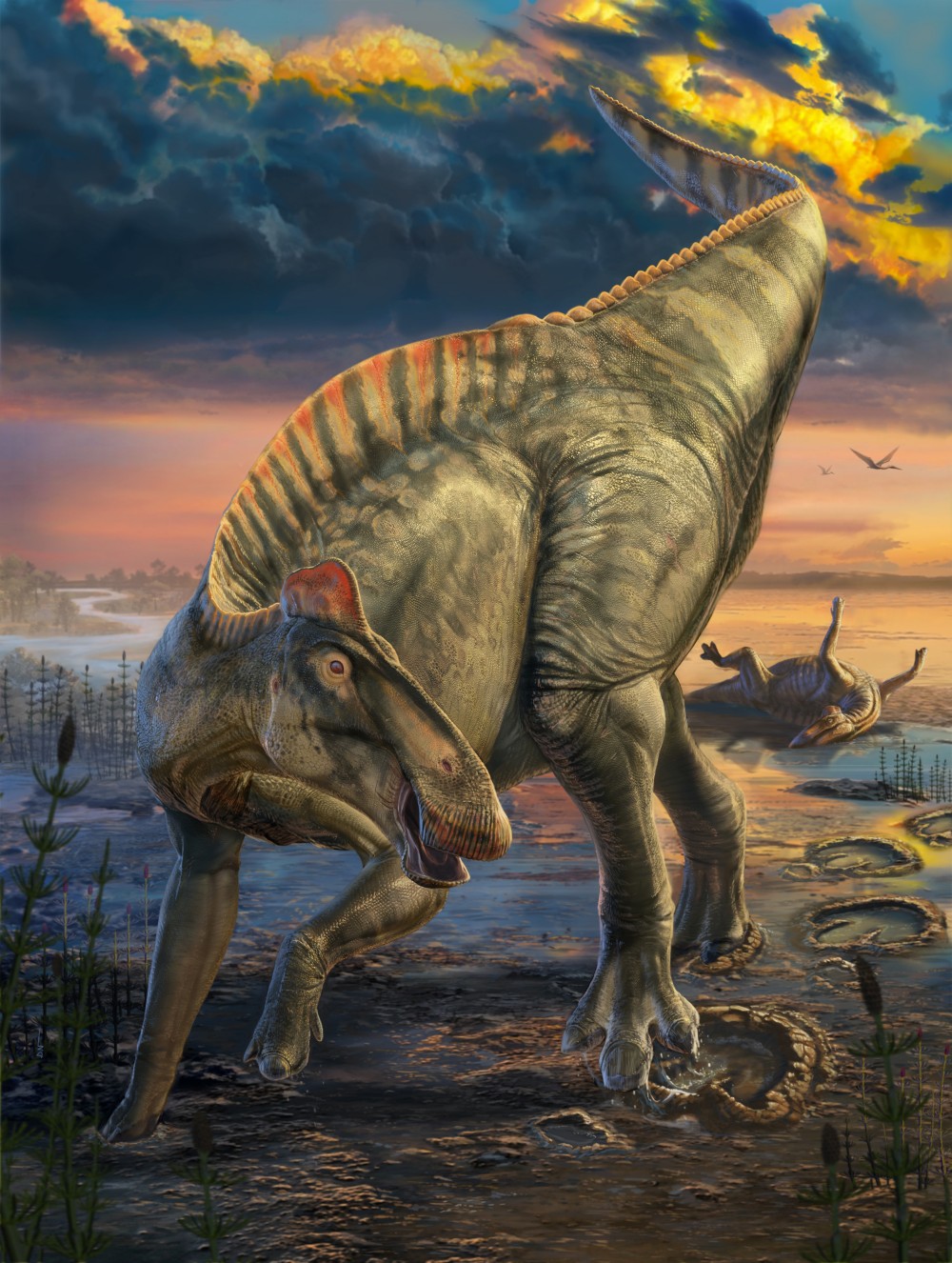 An illustration inspired by the mummified dinosaur duo shows their scaly skin, a fleshy crest that covered their neck and trunk, as well as a fleshy spike row over their hips and tail, and the hooves that capped the toes of the hind feet. An illustration inspired by the mummified dinosaur duo shows their scaly skin, a fleshy crest that covered their neck and trunk, as well as a fleshy spike row over their hips and tail, and the hooves that capped the toes of the hind feet.