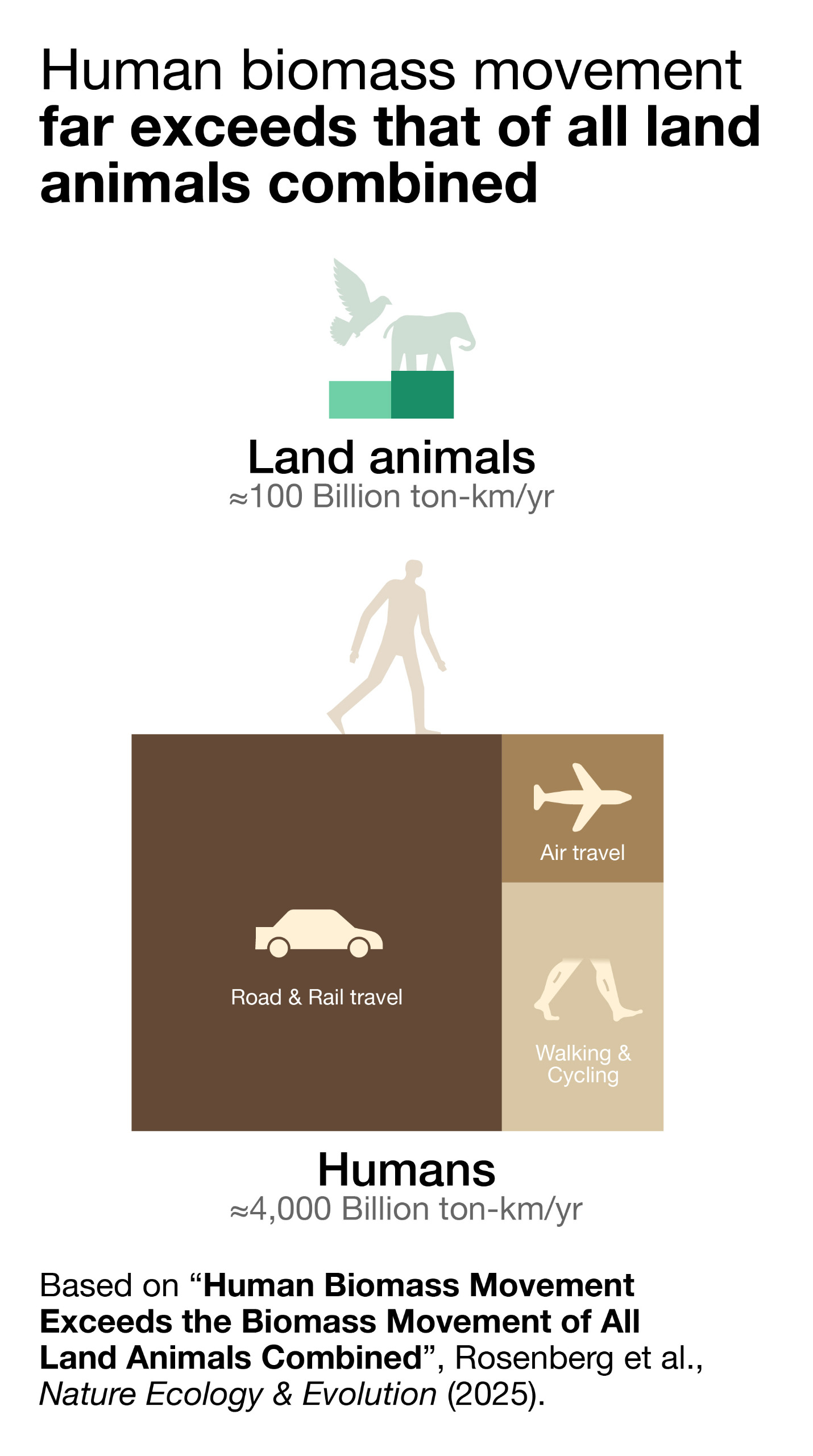 Human foot traffic far outweighs the movement of all land and air animals, and cars and places account for even more.  Human foot traffic far outweighs the movement of all land and air animals, and cars and places account for even more.