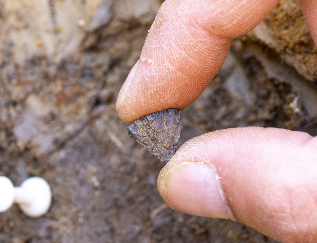 A piece of iron pyrite, which is very rare in the area, found at the site in 2017. A piece of iron pyrite, which is very rare in the area, found at the site in 2017.