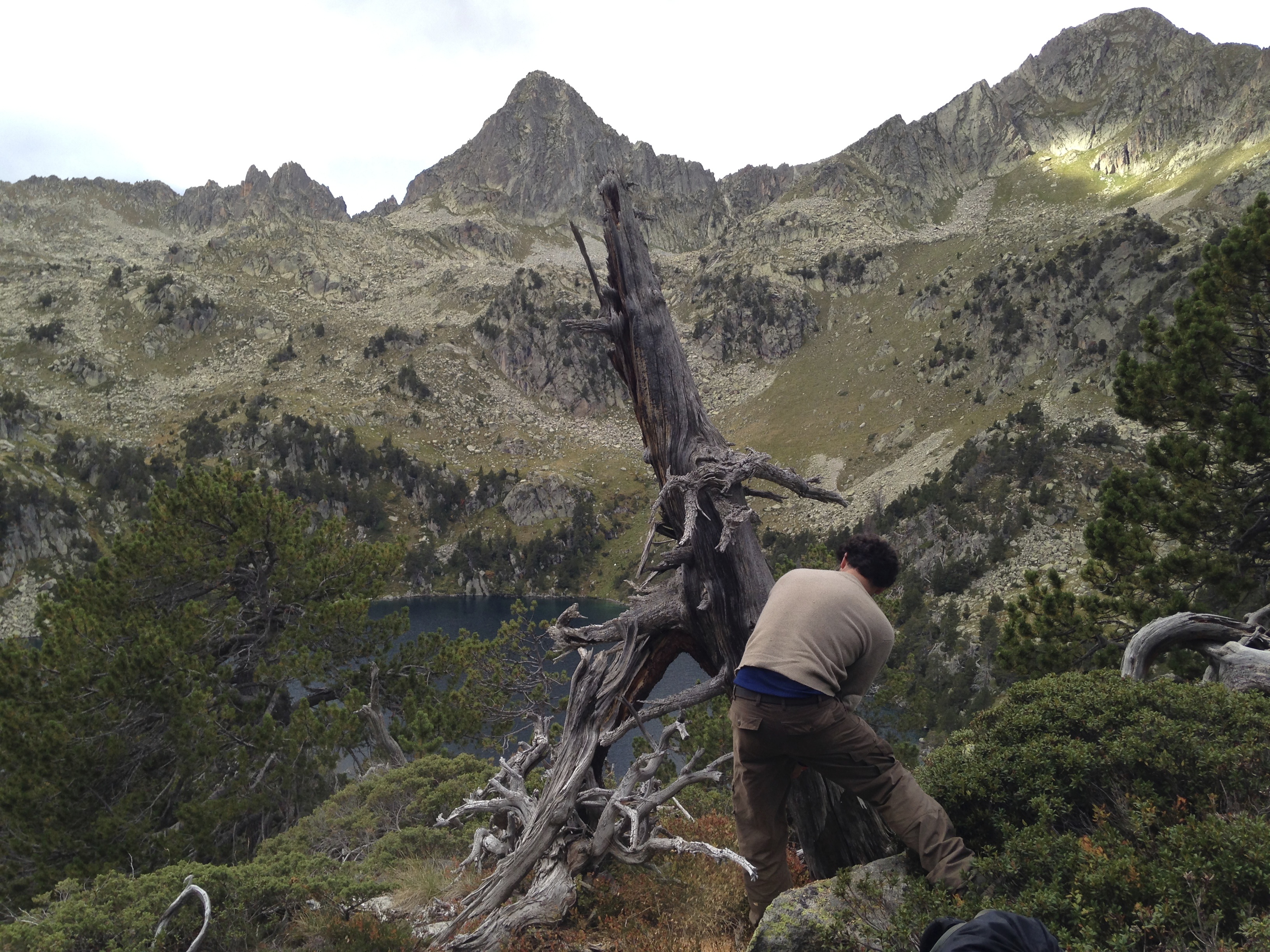 Taking tree ring samples from the Pyrenees.
