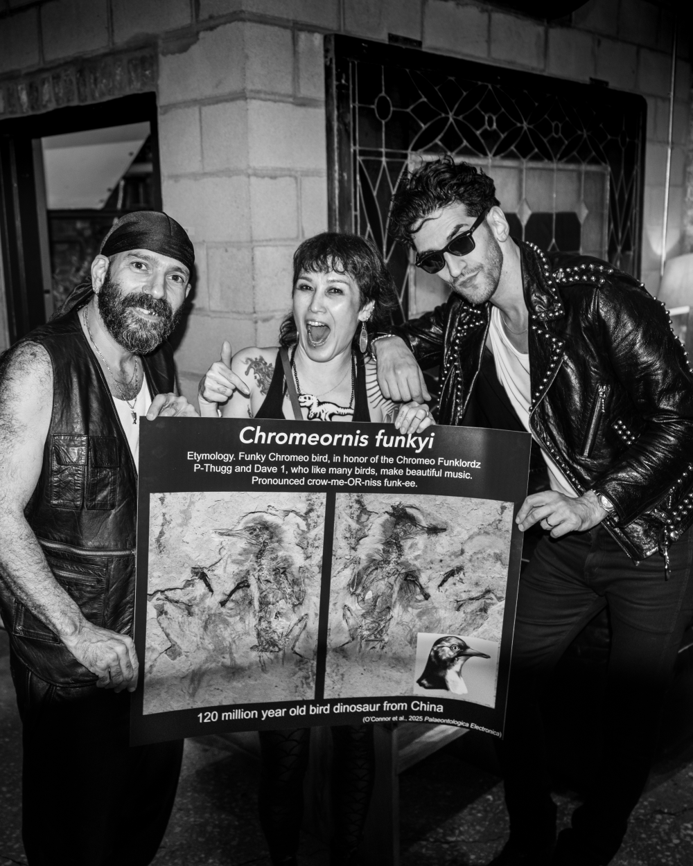 Chromeornis funkyi with chromeo
