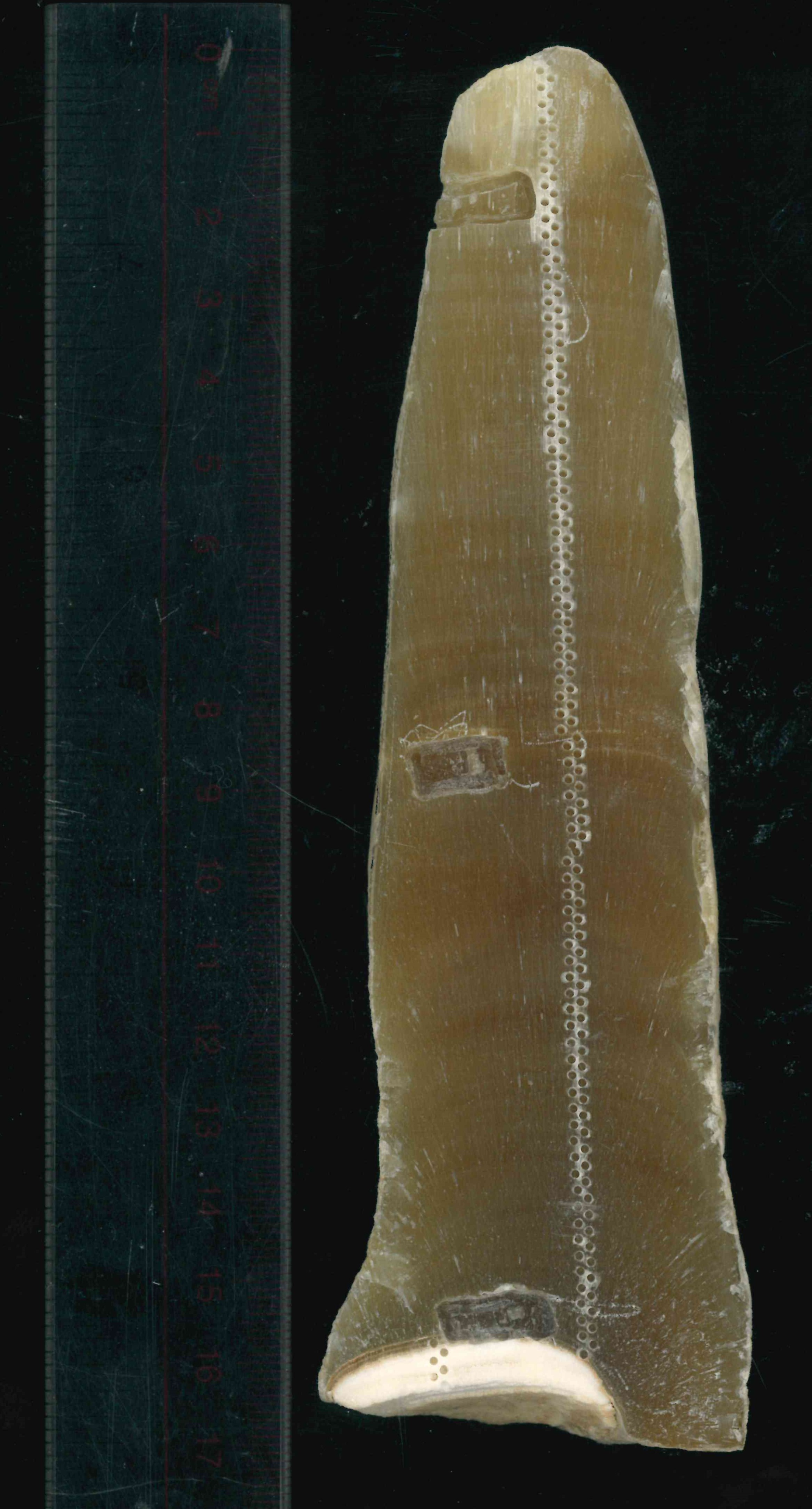 Stalagmite KR19-3 from Hsarok Cave