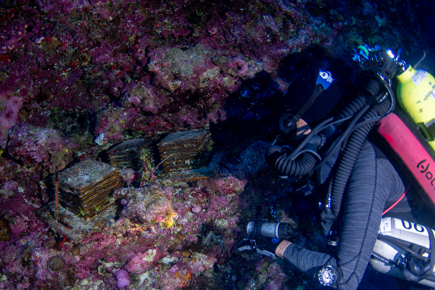 diver collecting artificial reef-like structures from a coral reef diver collecting artificial reef-like structures from a coral reef
